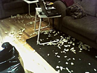 No, it's just the sad remains of their dog bed and my dignity.